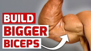 5 Arm Workout Hacks for Bigger Biceps [upl. by Rauscher]