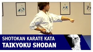 Taikyoku Shodan Shotokan Karate Kata [upl. by Launamme]