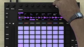 Learn Push 2 Sampling Workflow overview [upl. by Cacia]