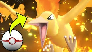 How To Catch Moltres in Pokemon Lets Go Pikachu amp Eevee [upl. by Buckingham912]