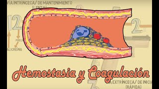 Hemostasia y coagulación [upl. by Shiekh]