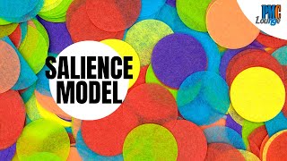 Salience Model [upl. by Nyleve]