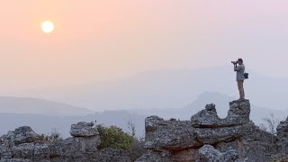 The Wild Wonders of South Africa  National Geographic [upl. by Riki]