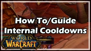 World of Warcraft How To  Guide  Internal Cooldowns in WoW [upl. by Elyrpa]