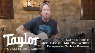 Acoustic Guitar Tonewoods  Mahogany vs Maple vs Rosewood [upl. by Jecoa]