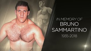 WWE pays tribute to Bruno Sammartino [upl. by Orrin314]