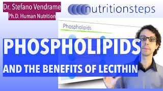 Phospholipids and The Benefits Of Lecithin [upl. by Mcfadden968]