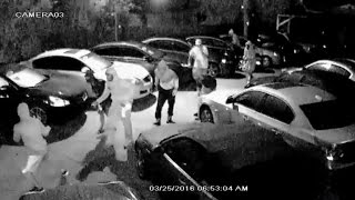 Watch Bold Burglars Drive Off With 8 Stolen Cars From Dealership [upl. by Oira]