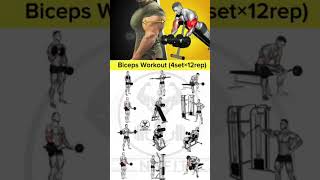 10 BEST Biceps Exercises AT HOME [upl. by Chappy771]