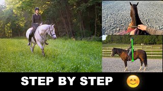 HOW TO RIDE A HORSE FOR BEGINNERS STEP BY STEP 🐎 [upl. by Letsirk]