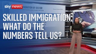 Skilled Immigration What do the numbers tell us about postBrexit Britain [upl. by Bello962]