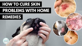 How To treat 5 Skin infection in dogs 🐕 with home remedies [upl. by Wack]