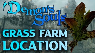 Demons Souls Farming Healing Items GRASS [upl. by Inalaek]