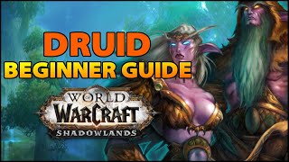 Druid Beginner Guide  Overview amp Builds for ALL Specs WoW Shadowlands [upl. by Knorring417]