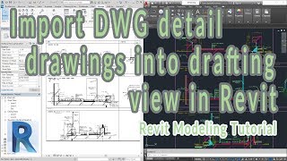 Import DWG detail drawings into drafting view in Revit [upl. by Lonni]