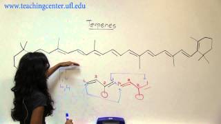 Recognizing Terpenes [upl. by Just403]