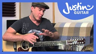 12 String Guitar Tuning Tips amp Tricks on a Maton Messiah Guitar Lesson TE501 [upl. by Bezanson]