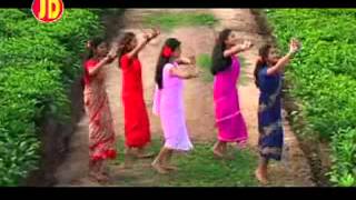 Phool Baganer Malini  Tushar Arjun  Bornali Kalita  Superhit Baganiya song Assam [upl. by Nellek]