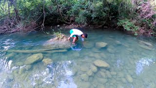 Nuestra Técnica Para Atrapar CANGREJOS De Rio Pesca y Cocina [upl. by Natale]