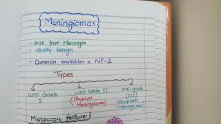 Meningioma Pathology [upl. by Feer]