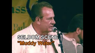 quotMuddy Waterquot — The Seldom Scene [upl. by Leorsiy834]