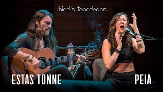 Birds Teardrops  Estas Tonne feat Peia  Ashland Oregon 2018 [upl. by Nired]