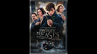 Opening To Fantastic Beasts amp Where To Find Them 2017 DVD Disc 1 [upl. by Chad]