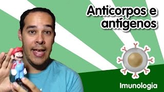 Imunlogia 6  Anticorpos e antígenos [upl. by Basset]