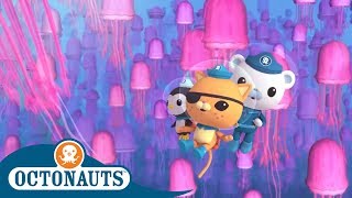 Octonauts  The Pink Jungle  Cartoons for Kids [upl. by Acus747]