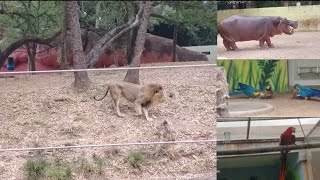 Nehru Zoological Park Hyderabad [upl. by Sivartal]