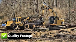 Mechanical logging Crew Hardwood [upl. by Agripina]