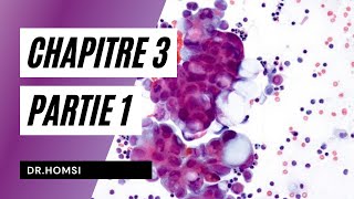 Cytologie  Chapitre 3 P1  Dr Homsi [upl. by Nnyleve539]