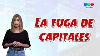 ¿QUÉ ES LA FUGA DE CAPITALES  Telefe Noticias [upl. by Nhguavaj630]