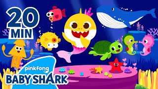 Baby Shark and more  Baby Shark and friends  Compilation  Baby Shark Official [upl. by Avah]