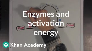 Enzymes and activation energy  Biomolecules  MCAT  Khan Academy [upl. by Ribble61]