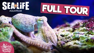 SEA LIFE Aquarium Carlsbad FULL TOUR  LEGOLAND California 2022 [upl. by Anires]