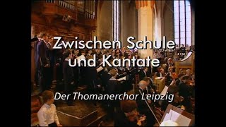 Thomanerchor Leipzig  quotZwischen Schule und Kantate  Der Thomanerchorquot Dokumentation 1995 [upl. by Marlin139]