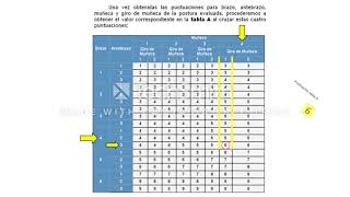 Evaluación Ergonómica con método RULA [upl. by Carmena]