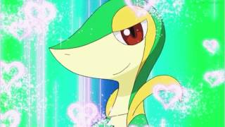 quotNo moneyquot Snivy AMV Requested by Nick Puth [upl. by Inahet987]