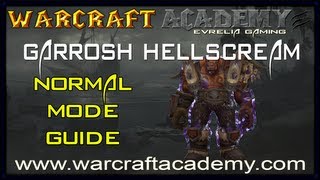 Garrosh Hellscream Normal Guide  Siege of Orgrimmar  Warcraft Academy [upl. by Haisoj]