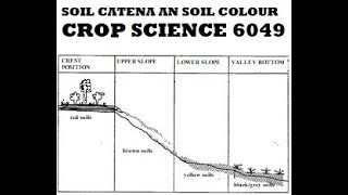 SOIL CATENA AND SOIL COLOUR [upl. by Bennink]