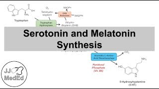 Serotonin and Melatonin Synthesis  Tryptophan Metabolism [upl. by Hsot]