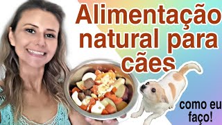 ALIMENTAÇÃO NATURAL PARA CÃES RECEITA NÃO INFLAMATÓRIA [upl. by Alvarez]