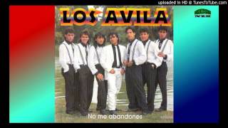 LOS AVILA GRANDES EXITOS CD ENTERO COMPLETO [upl. by Yanetruoc]