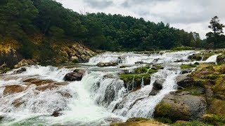 Pykara Falls  a waterfall in Ooty Tamil Nadu India [upl. by Tehc]