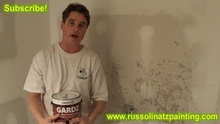 Apply Zinsser Gardz PrimerSealer to New Drywall  Drywall repair and protection Part 1 [upl. by Aicilas305]