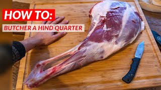 How To Butcher a DEER Hind Quarter [upl. by Collbaith]