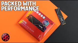 XPG GAMMIX S70 BLADE Gen4x4 1TB  Benchmarks and Details [upl. by Ttelrats202]