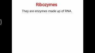 Ribozymes [upl. by Asela265]