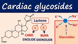 Cardiac glycosides in easy way  Digoxin digitoxin [upl. by Anoirtac]